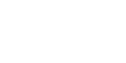 Levinson-logo-preloader